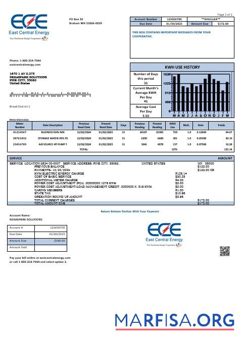 Realistic USA Minnesota East Central Energy business utility bill template in Word and PDF formats